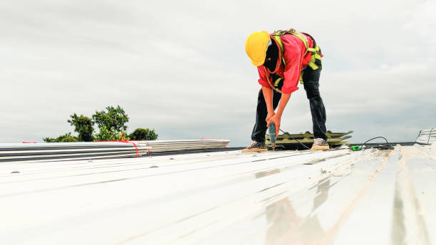 Asphalt Shingles Roofing in Catlin, IL