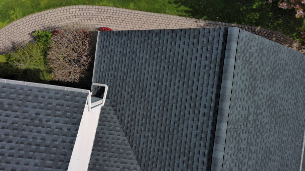Best Skylight Installation and Repair  in Catlin, IL